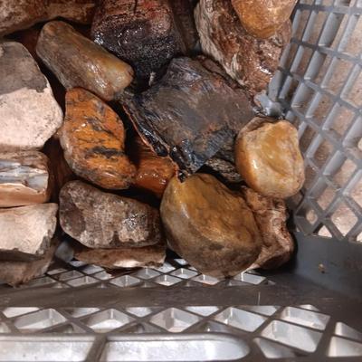 MEDIUM SIZE ROCKS (7)