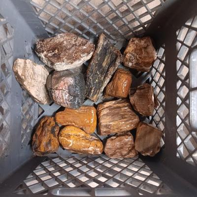 MEDIUM SIZE ROCKS (7)