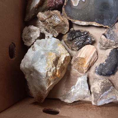 MEDIUM - LARGE ROCKS (2)
