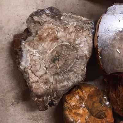 LARGER ROCKS (9)