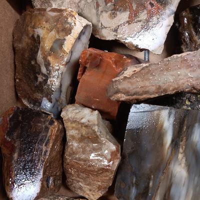 MEDIUM SIZE ROCKS (6)
