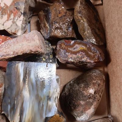 MEDIUM SIZE ROCKS (6)