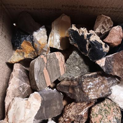 MEDIUM SIZE ROCKS (7)