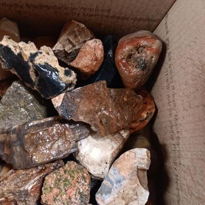 MEDIUM SIZE ROCKS (7)