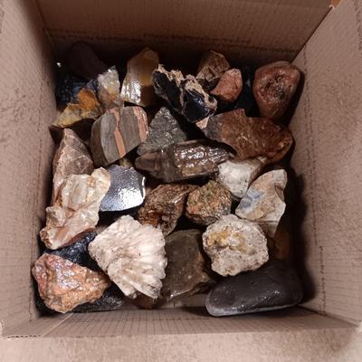 MEDIUM SIZE ROCKS (7)