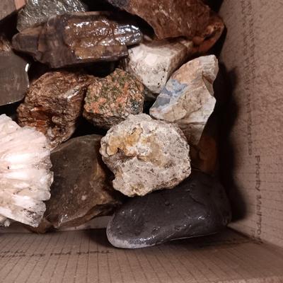 MEDIUM SIZE ROCKS (7)