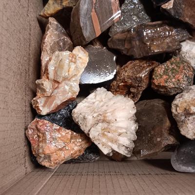 MEDIUM SIZE ROCKS (7)