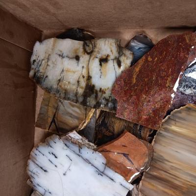 LAPIDARY SLABS (19)