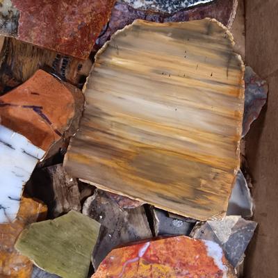 LAPIDARY SLABS (19)