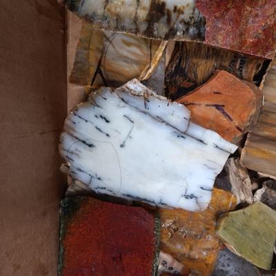 LAPIDARY SLABS (19)