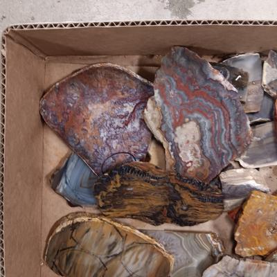 LAPIDARY SLABS (19)