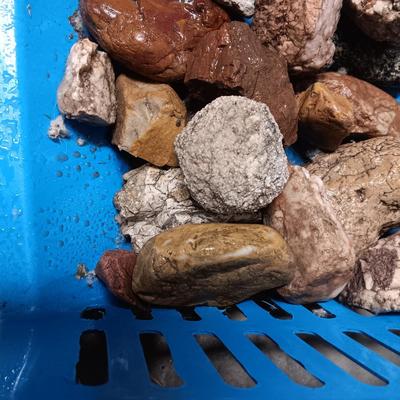 MEDIUM SIZE ROCKS (8)