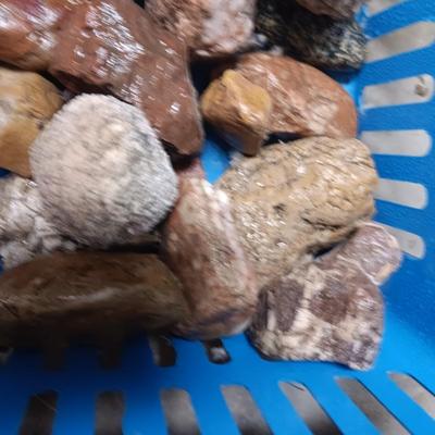 MEDIUM SIZE ROCKS (8)
