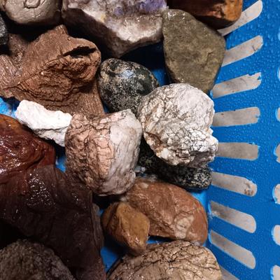 MEDIUM SIZE ROCKS (8)