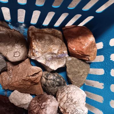 MEDIUM SIZE ROCKS (8)