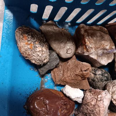 MEDIUM SIZE ROCKS (8)