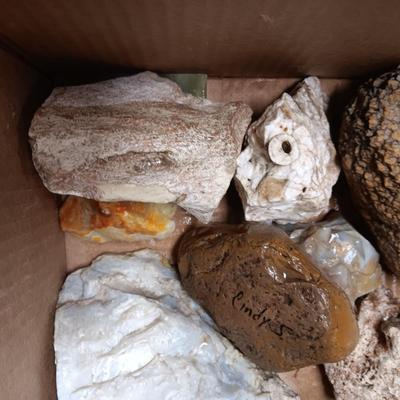 MEDIUM - LARGE ROCKS (3)