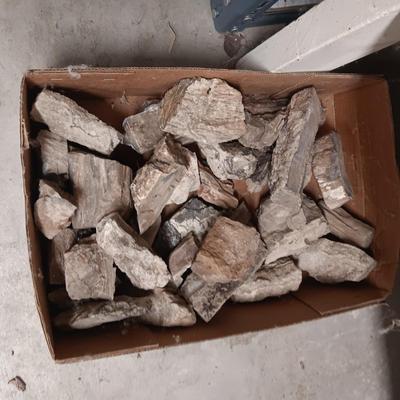 PETRIFIED WOOD AND OTHER ROCKS