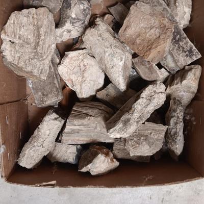 PETRIFIED WOOD AND OTHER ROCKS