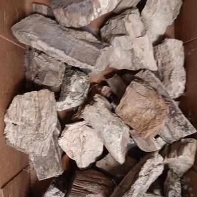 PETRIFIED WOOD AND OTHER ROCKS