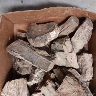 PETRIFIED WOOD AND OTHER ROCKS