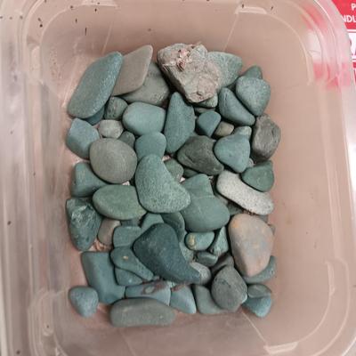 WILD HORSE AND OTHER ROCKS