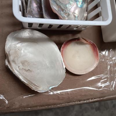 MOTHER OF PEARL AND ABALONE