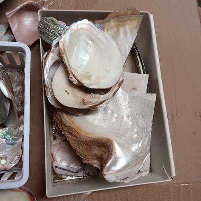 MOTHER OF PEARL AND ABALONE
