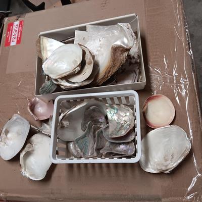 MOTHER OF PEARL AND ABALONE