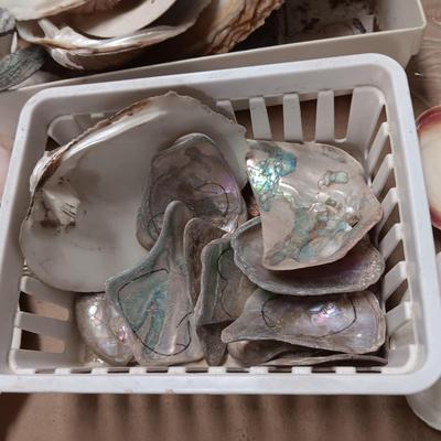 MOTHER OF PEARL AND ABALONE