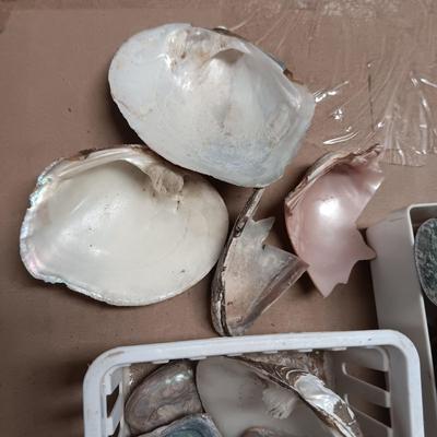 MOTHER OF PEARL AND ABALONE