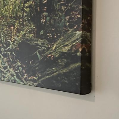 Large Waterfall Canvas & More Local Photographs (P-RG)