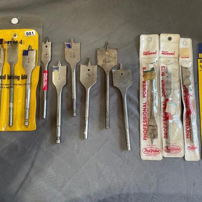 Wood boring bits