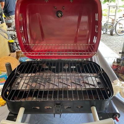 Backyard grill