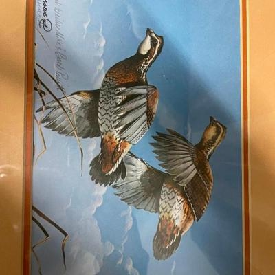 Phillip Crowe Signed Duck Print