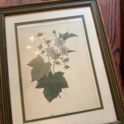 Framed art lot
