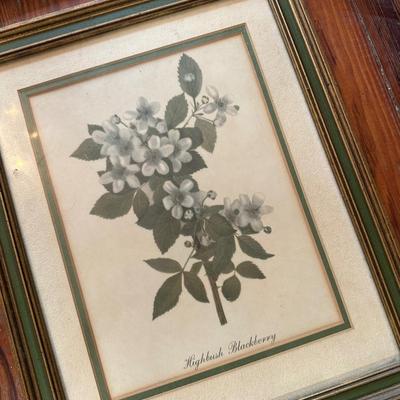 Framed art lot