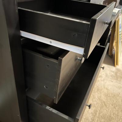 Glass Door Tall Cabinet (P-RG)