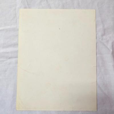 Collection of Bird & Insect Prints (BS-JS)