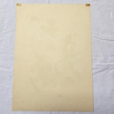 Collection of Bird & Insect Prints (BS-JS)