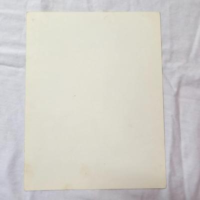 Collection of Bird & Insect Prints (BS-JS)