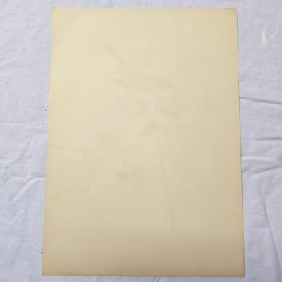 Collection of Bird & Insect Prints (BS-JS)