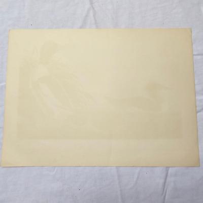 Collection of Bird & Insect Prints (BS-JS)