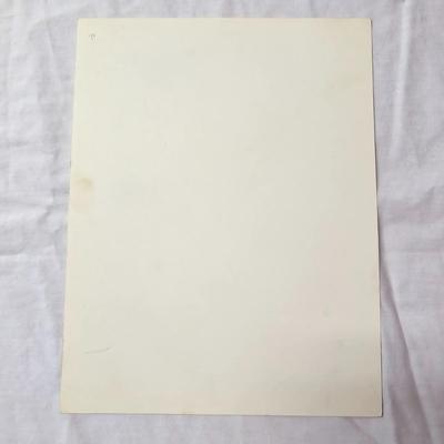 Collection of Bird & Insect Prints (BS-JS)