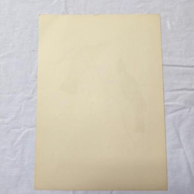 Collection of Bird & Insect Prints (BS-JS)
