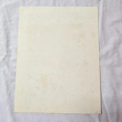 Collection of Bird & Insect Prints (BS-JS)