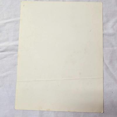 Collection of Bird & Insect Prints (BS-JS)