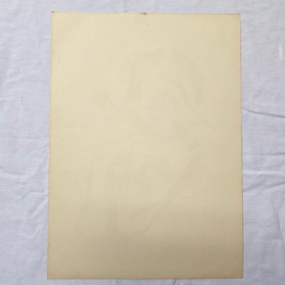 Collection of Bird & Insect Prints (BS-JS)