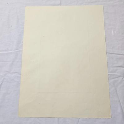Collection of Bird & Insect Prints (BS-JS)