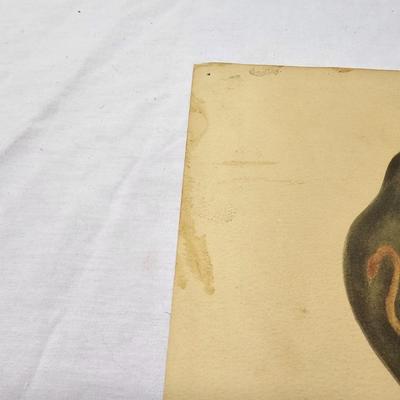 Set of Seven Vintage Mother Goose Prints (BS-JS)